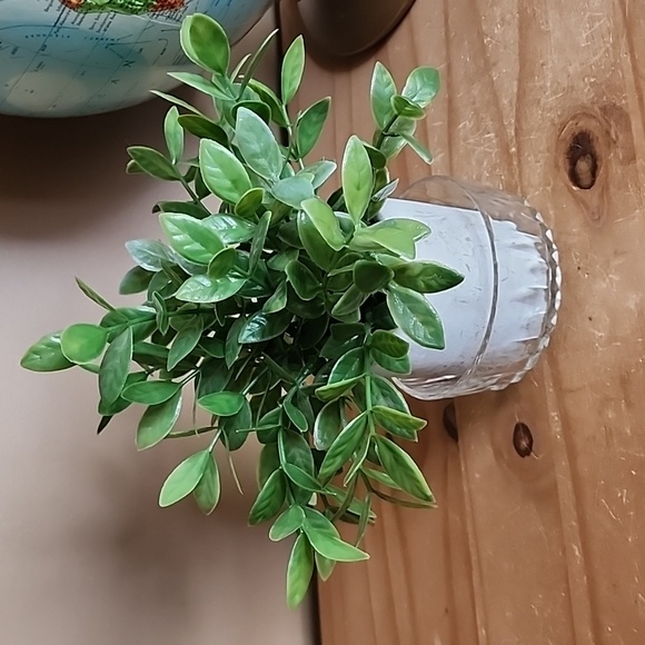 Vintage Arcoroc France Fruit Bowl Set - Picture 14 of 16